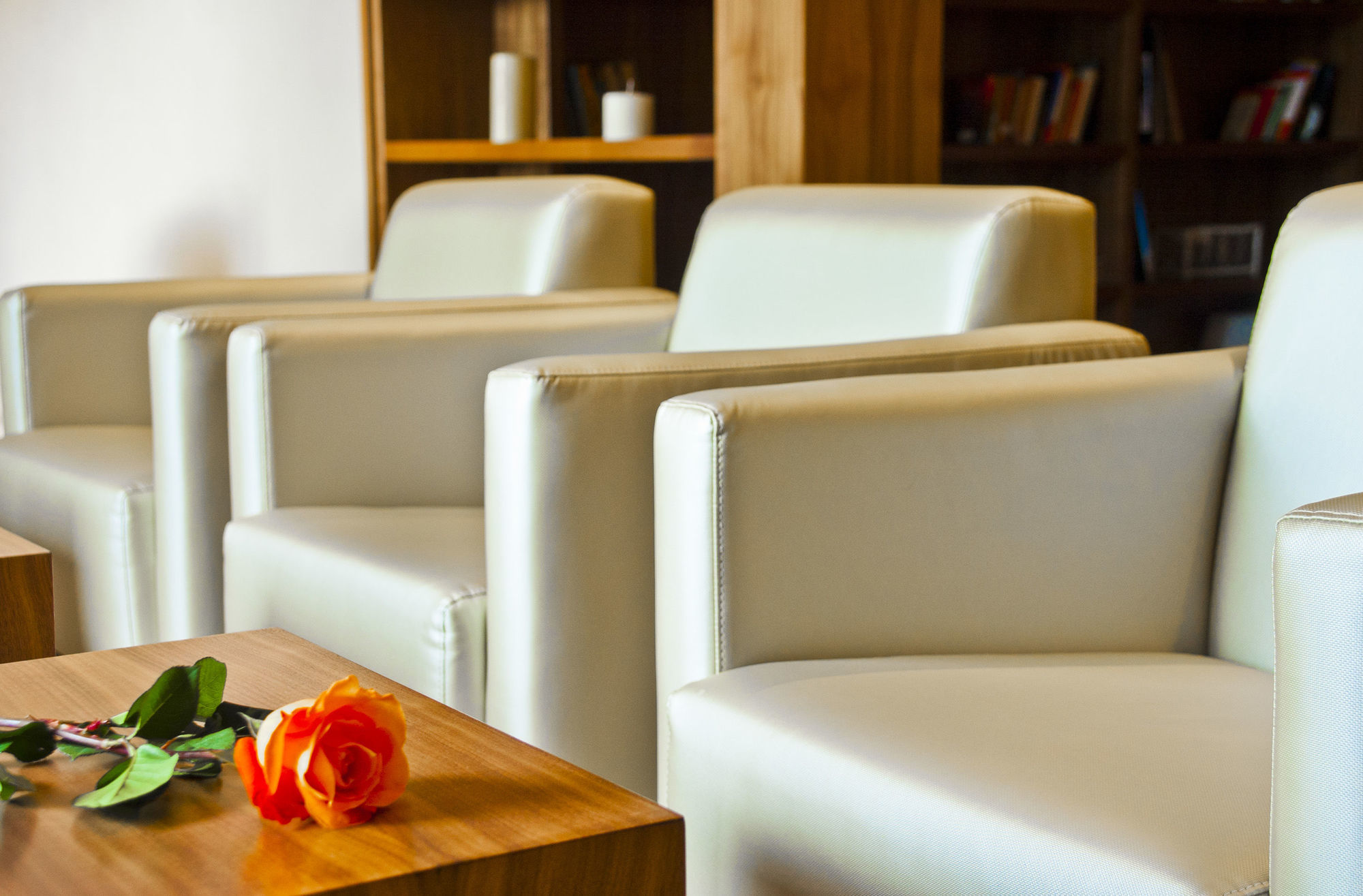 Sant Jordi Boutique Hotel Calella Exterior foto The library